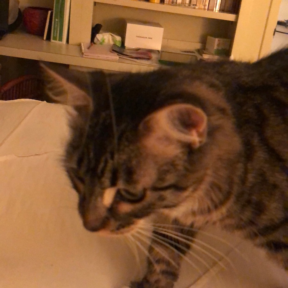 Meet your Posher, Sarah